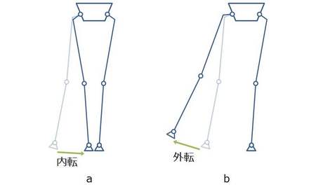 内転外転.jpg