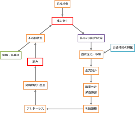 痛みの悪循環.png