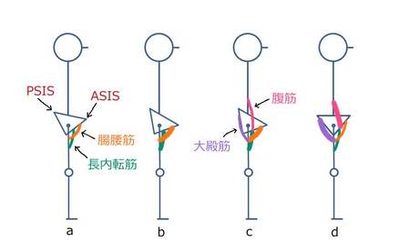 骨盤運動.JPG
